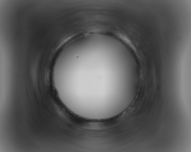 X0000086110154200704132216