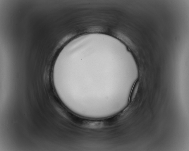 X0000086110155200704132216