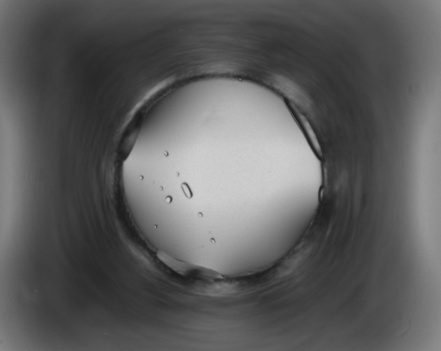 X0000086110156200704132217