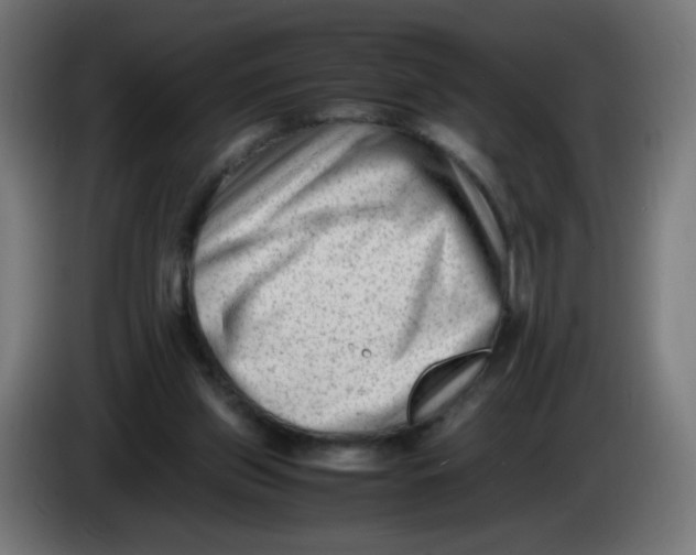 X0000086110157200704132217