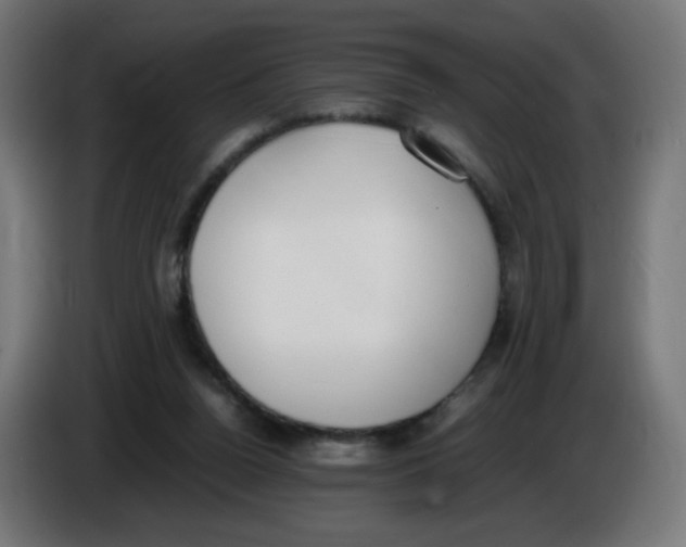 X0000086110160200704132217