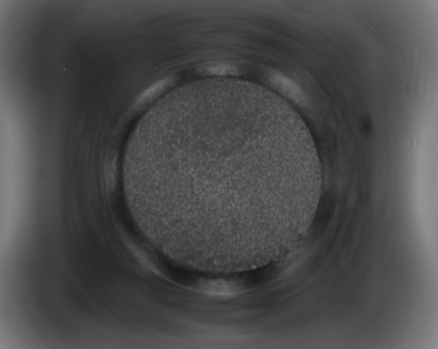 X0000086110163200704132217