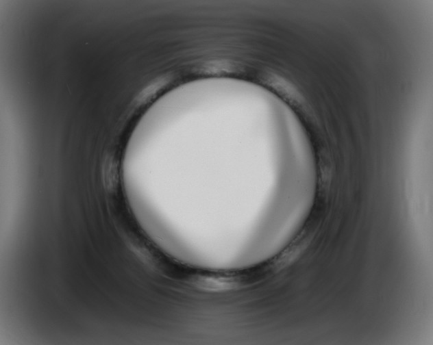 X0000086110164200704132217