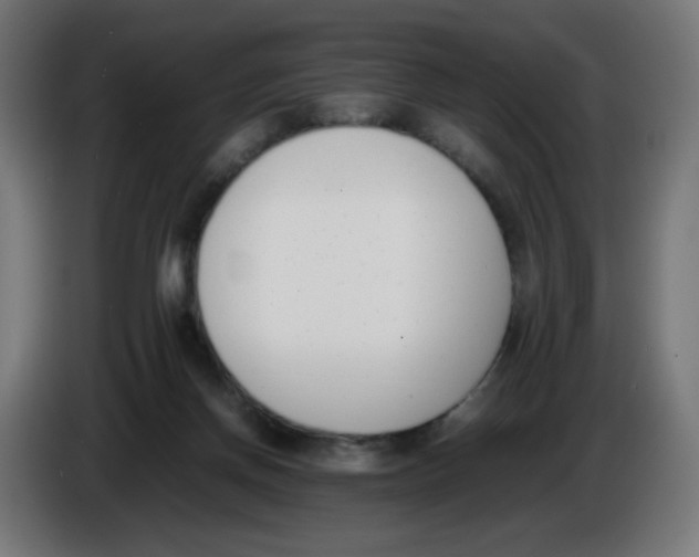 X0000086110166200704132217