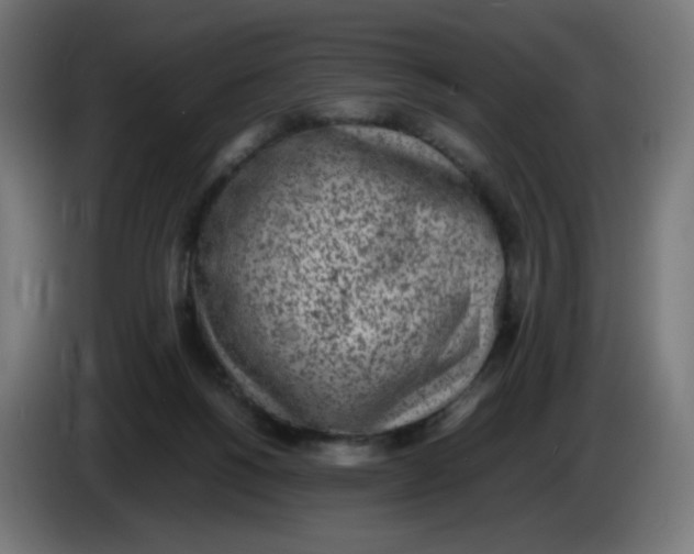 X0000086110168200704132217