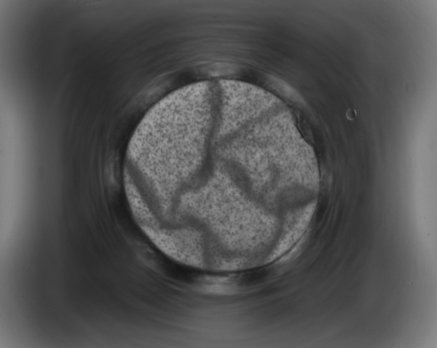 X0000086110170200704132217