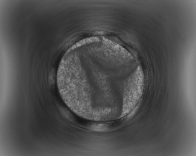 X0000086110174200704132217