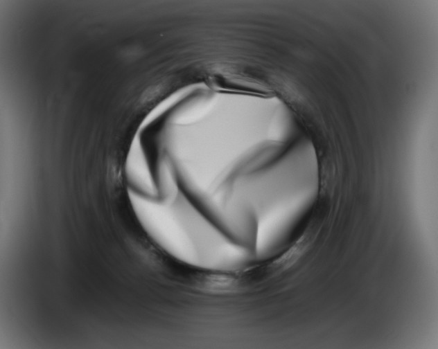 X0000086110176200704132217