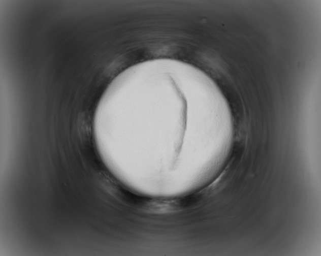 X0000086110179200704132217