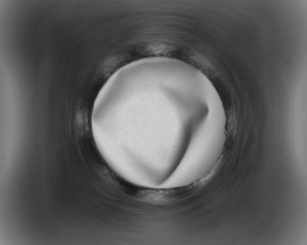 X0000086110182200704132217