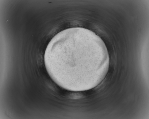 X0000086110183200704132217