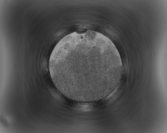 X0000086110187200704132217