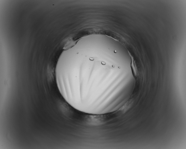 X0000086110188200704132217