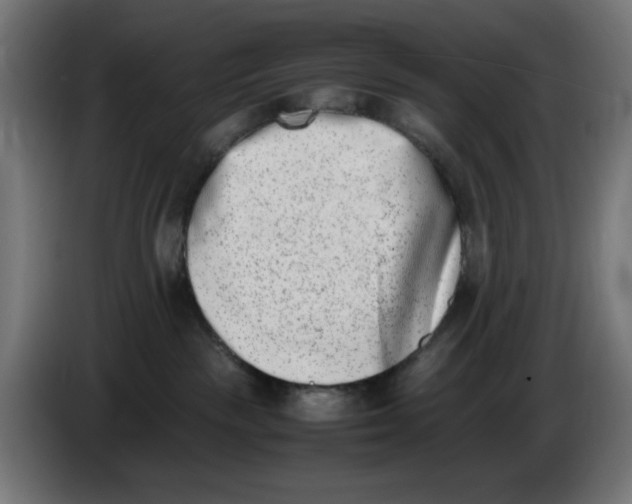 X0000086110189200704132217