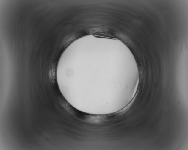 X0000086110190200704132217