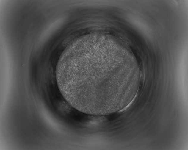 X0000086110191200704132217