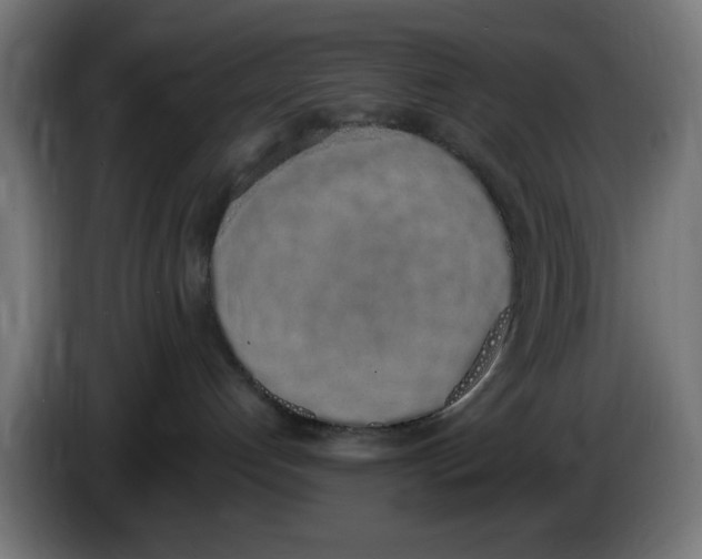 X0000086110192200704132217