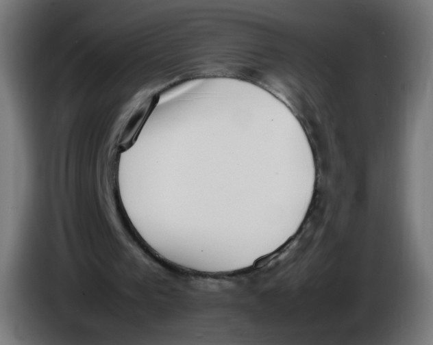 X0000086110193200704132216