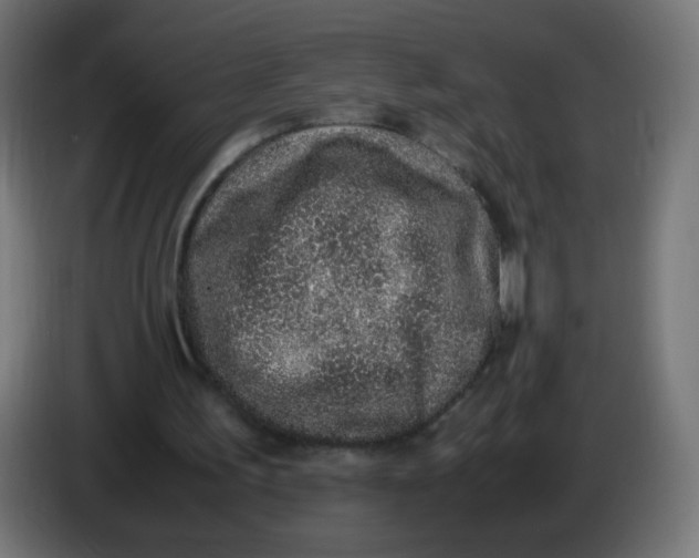 X0000086110195200704132216