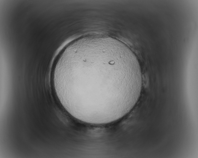 X0000086110196200704132216