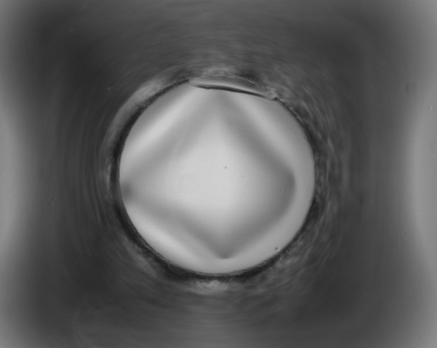 X0000086110197200704132216