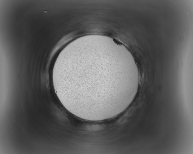 X0000086110198200704132216