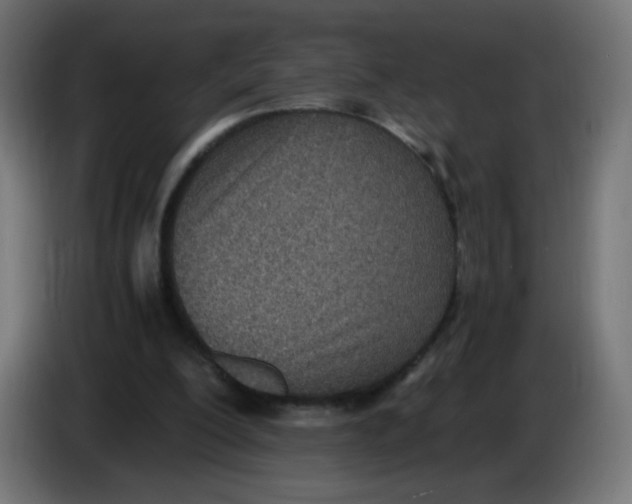 X0000086110200200704132216