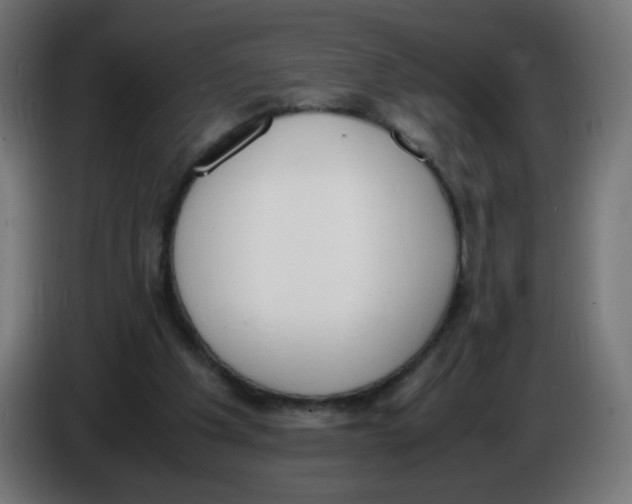 X0000086110201200704132216