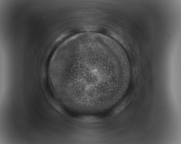 X0000086110203200704132216