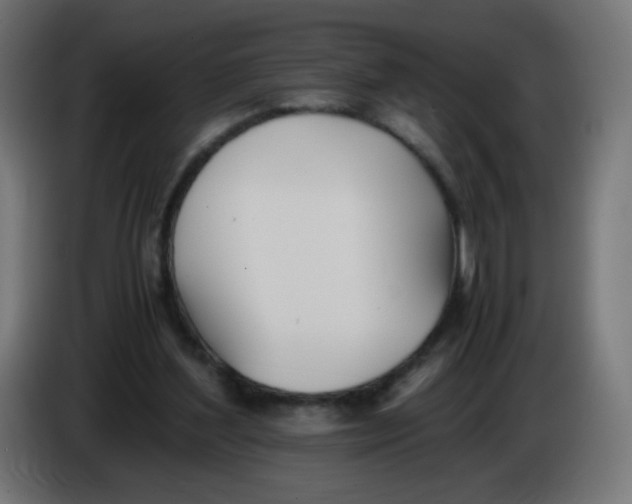 X0000086110204200704132216