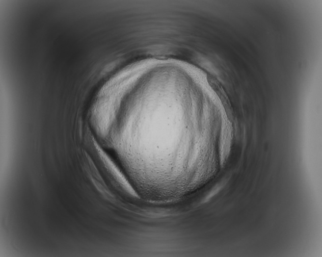 X0000086110205200704132216