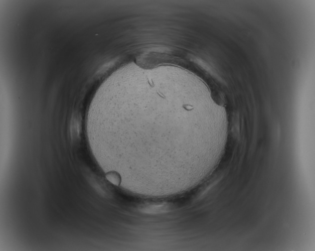 X0000086110206200704132216