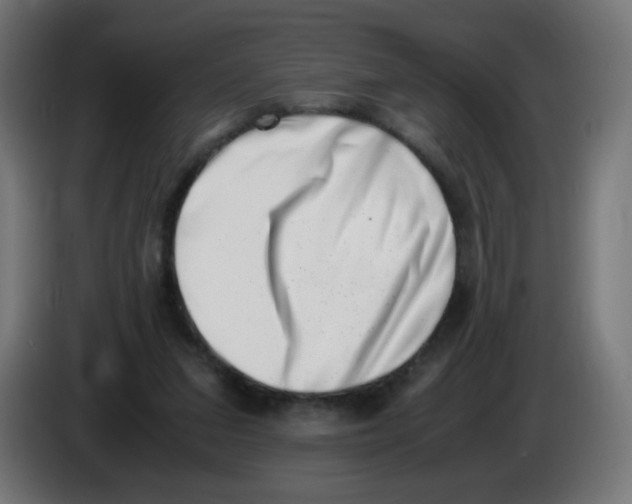 X0000086110207200704132216