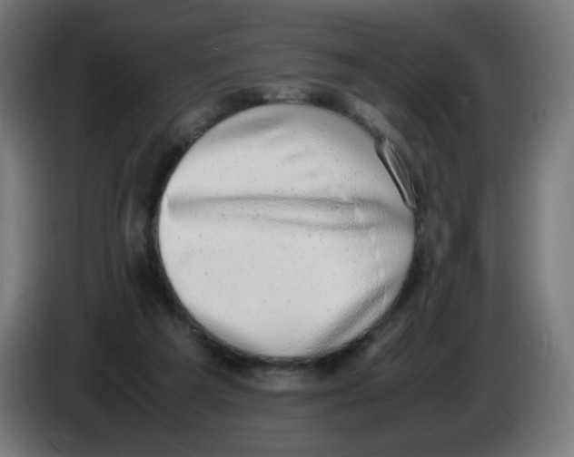 X0000086110209200704132216