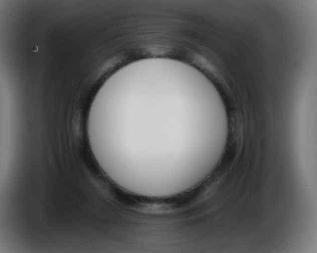 X0000086110212200704132216