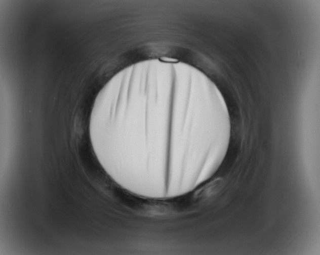 X0000086110215200704132216