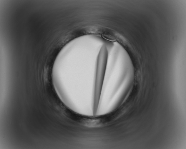 X0000086110217200704132216