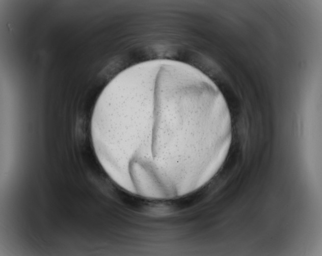 X0000086110218200704132216