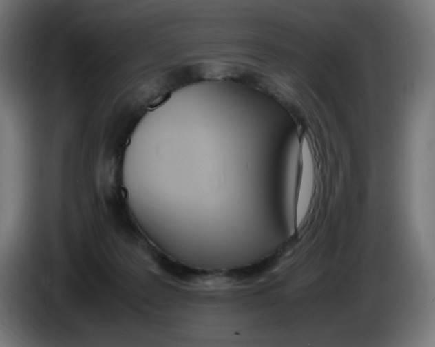 X0000086110219200704132216