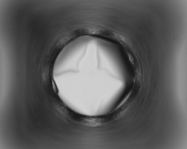 X0000086110221200704132216