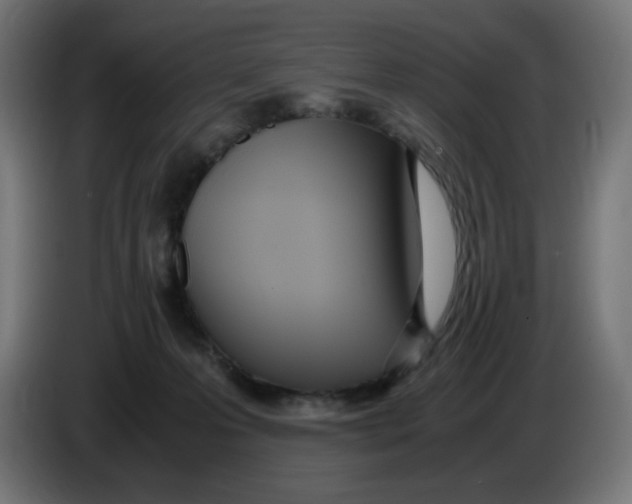 X0000086110223200704132216