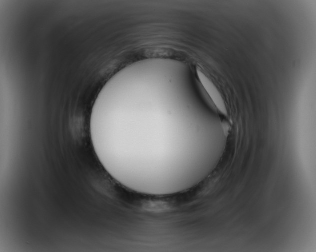 X0000086110224200704132216