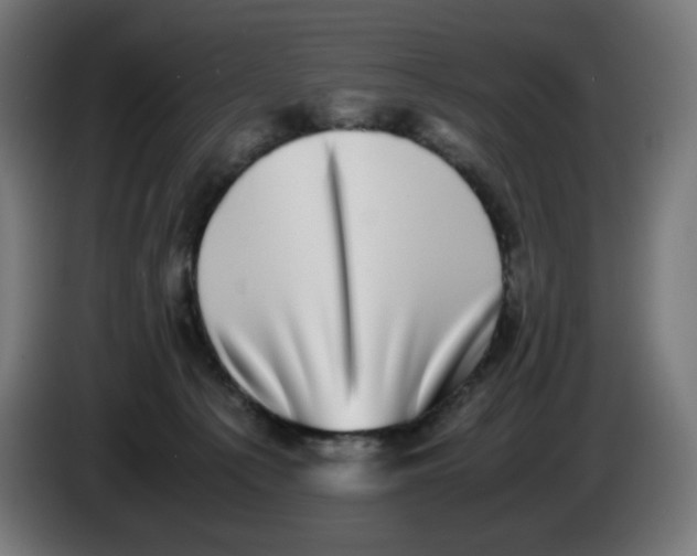 X0000086110225200704132216