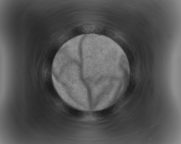 X0000086110226200704132216