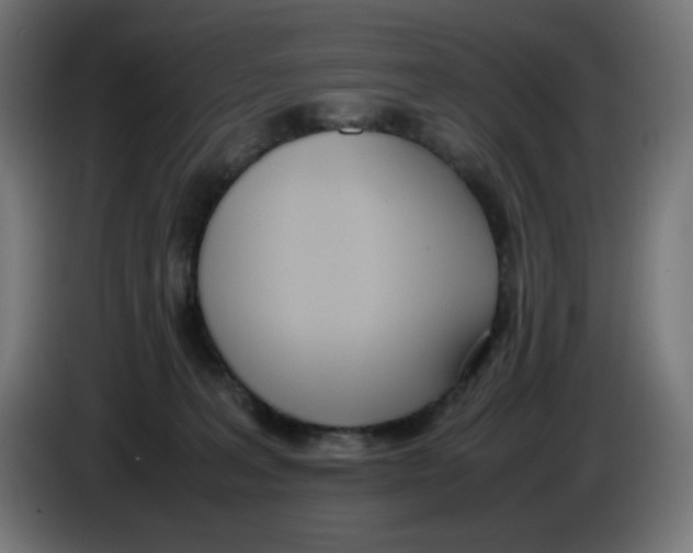 X0000086110227200704132216