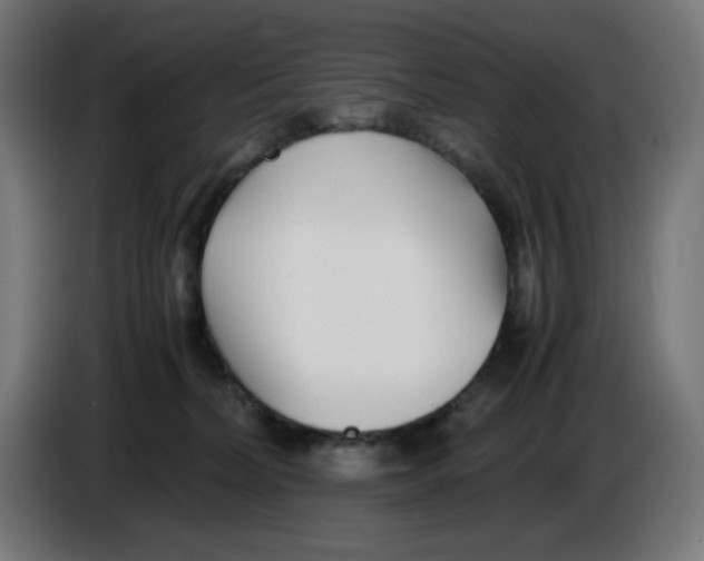 X0000086110228200704132216