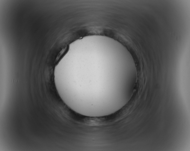 X0000086110229200704132216