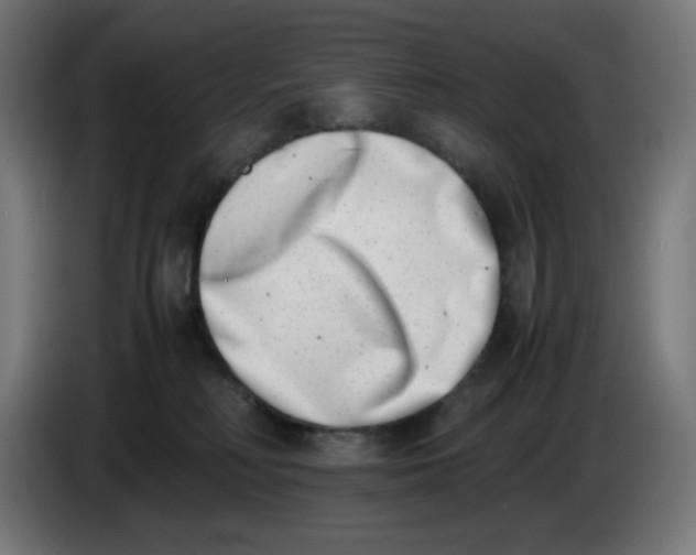 X0000086110230200704132216