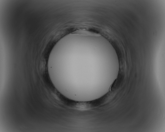 X0000086110231200704132216