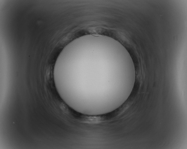 X0000086110233200704132216